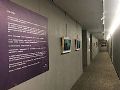 跨越40年的艺术史,BOE画屏带你回顾那个当代艺术辉煌的年代