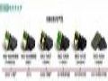 P0.4 IMD系列全球重磅首发|国星Mini LED直显IMD赛道越走越宽广