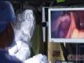 研华推出PAX-300系列医疗显示器，让医学影像更精准