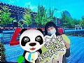 进博会新闻中心首次采用数字孪生技术,大幅度提升场馆运营保障的效率