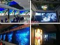 2022大屏视听遐想:确定性与不确定性并存