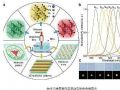 中国科学家在纳米材料全息显示研究领域取得重大突破