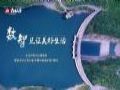 从2小时到5分钟,水库管理太“慧”了