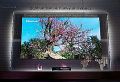 激光显示靠“变形”突破,CES2024展现新活力