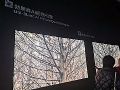 强者不做选择：COB、MIP、Mini和Micro LED全都要