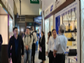 绿色照明 智慧未来 | 雷曼拓享亮相2025香港春灯展