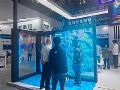 Infocomm China 2025|凯新创达闪耀北京视听展,“星闪柔性视窗”黑科技引燃全场!