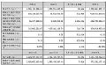 隆利科技2024年财报:营收13.2亿元,同增28.64%