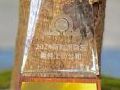 天马荣获“2024 ESG最佳实践奖”