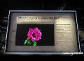 㣡ŵ޼InfinityذInfoComm Orlando 2025