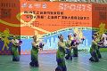 2025年上海城市业余联赛“平安人寿杯 ”上海市广场舞大师赛普陀区区级赛顺利落幕