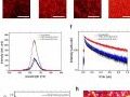 三星联合首尔国立大学研发高效柔性红光Micro LED