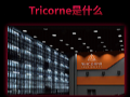 BIRTV2025 | ȫ͸LEDӰTricorneչ