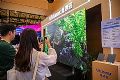 DIC EXPO 2025 | 辰显光电携全球首款135英寸P0.7 TFT基Micro-LED量产屏亮相上海