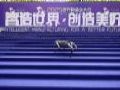 视源股份亮相世界制造业大会:四足机器人领衔,创新产品集中展示