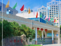 从“凭感觉”到“数据指路”:心湖小学教师借希沃课堂反馈系统破解教学盲区