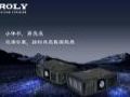 ROLY MϵרҵͶӰ רҵ֮ѡ