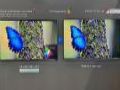SID&nbsp;2026�۲죺RGB-Mini&nbsp;LED��ͻ�ƣ�RGBX���ɫ��ʾӭ���¼�Ԫ