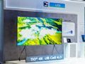 2026��һ����ȫ��TV����TOP10��
