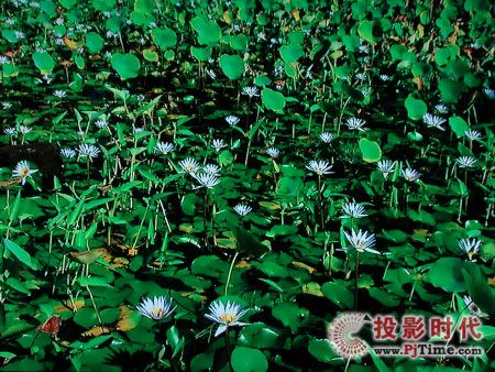 【夏普lcd-46ge5a液晶电视之1080p蓝光画面效